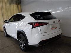 NX300h Fスポーツ