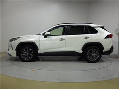 RAV4 G