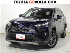 RAV4 ハイブリッドG