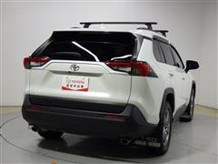 RAV4 X