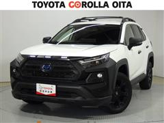 RAV4 HVアドベ オフロード2