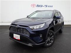 RAV4 G