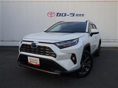 RAV4 ハイブリッドG