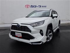 RAV4 ハイブリッド G