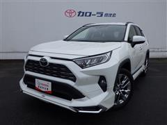 RAV4 G Zパッケージ