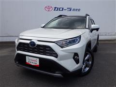 RAV4 ハイブリッド G