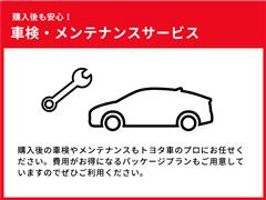 サンバートラック TB