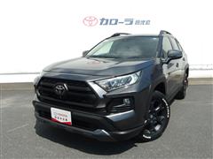 RAV4 アドベンチャーオフロード