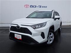 RAV4 X