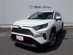 RAV4 ハイブリッド G