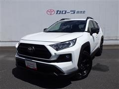 トヨタ　RAV4 ADV オフ パケ2