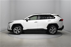 RAV4 G
