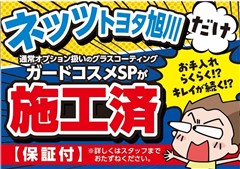プリウス Z
