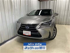 NX300h バージョンL