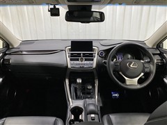 NX300h バージョンL