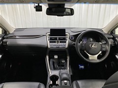 NX300h バージョンL