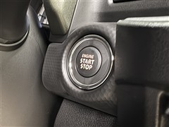 ハスラータフワイルド