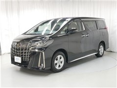 アルファード Sタイプゴ-ルド2