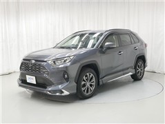 RAV4 G