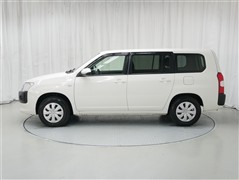 プロボックスバン F