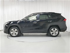 RAV4 G