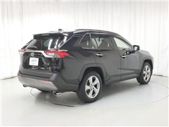 RAV4 G
