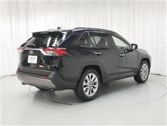 RAV4 G Zパッケージ 4WD