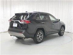 RAV4 G