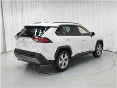 RAV4 G