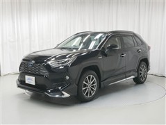 RAV4 ハイブリッドG