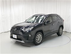 RAV4 G