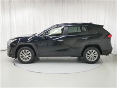 RAV4 G