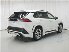 RAV4 G Zパッケージ