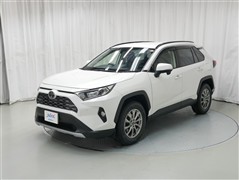 RAV4 G