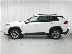RAV4 G
