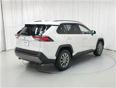 RAV4 G