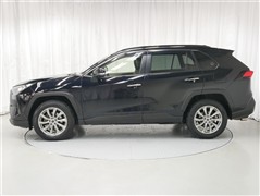 RAV4 G