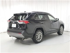 RAV4 G