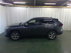 RAV4 G