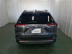 RAV4 G