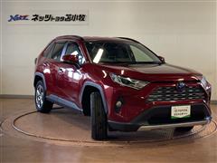 RAV4 HV G E-Four