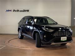RAV4 HV G E-Four
