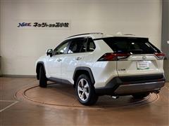 RAV4 G