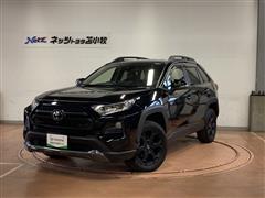 RAV4 アドベンチャー オフロート