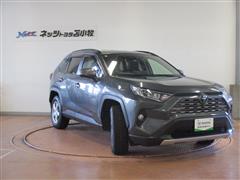 RAV4 G