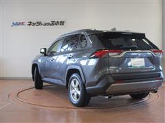 RAV4 G