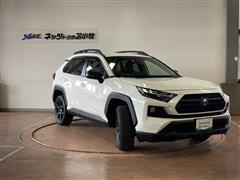 RAV4 アドベンチャー オフロート