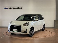 パッソ MODA Gパッケージ