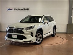RAV4 HV G E-Four