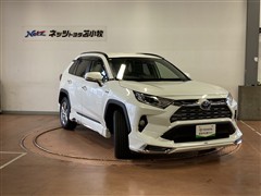 RAV4 HV G E-Four